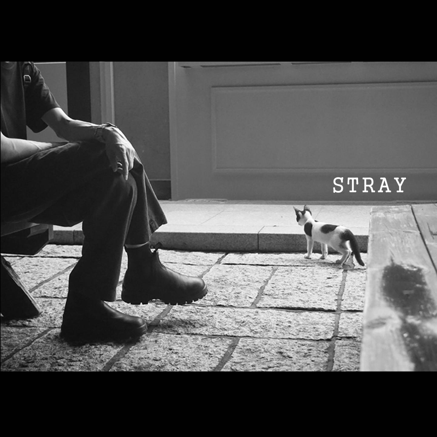 STRAY