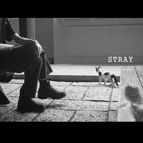 STRAY