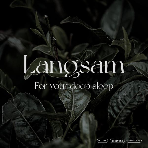 Langsam